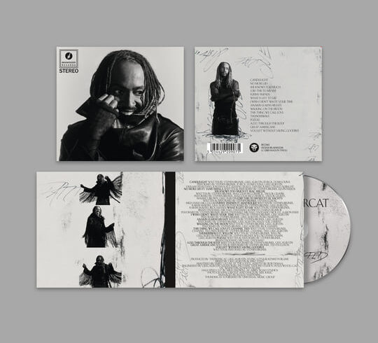 Thundercat’s ‘Distracted’: A Sonic Exploration of Modern Life’s Chaos